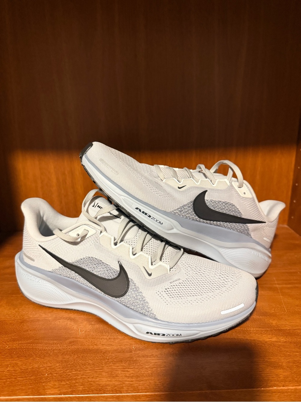 Nike Men's Pegasus 41